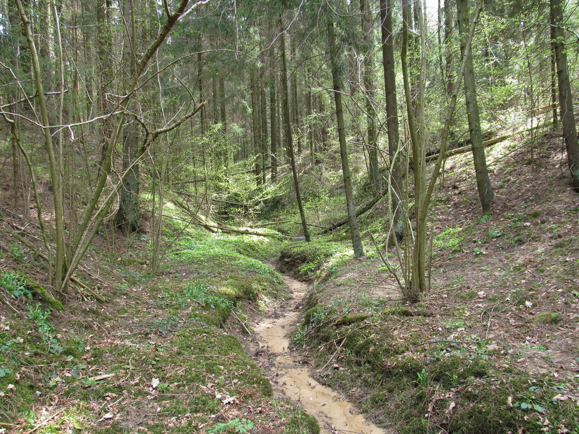 Урочище Климовка, image of landscape/habitat.