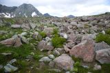 Верховья Имеретинки, image of landscape/habitat.