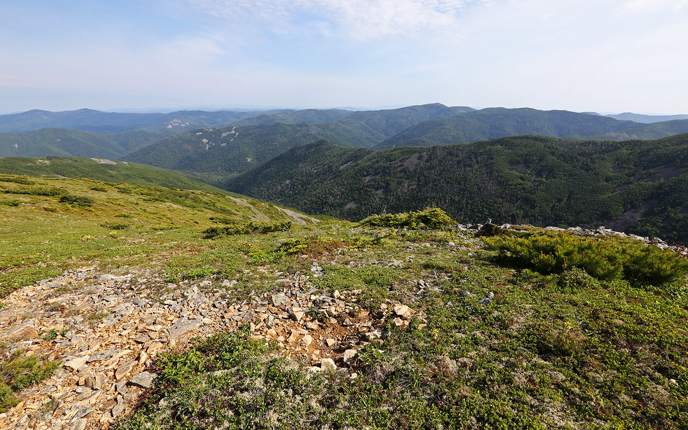 Гора Снежная, image of landscape/habitat.