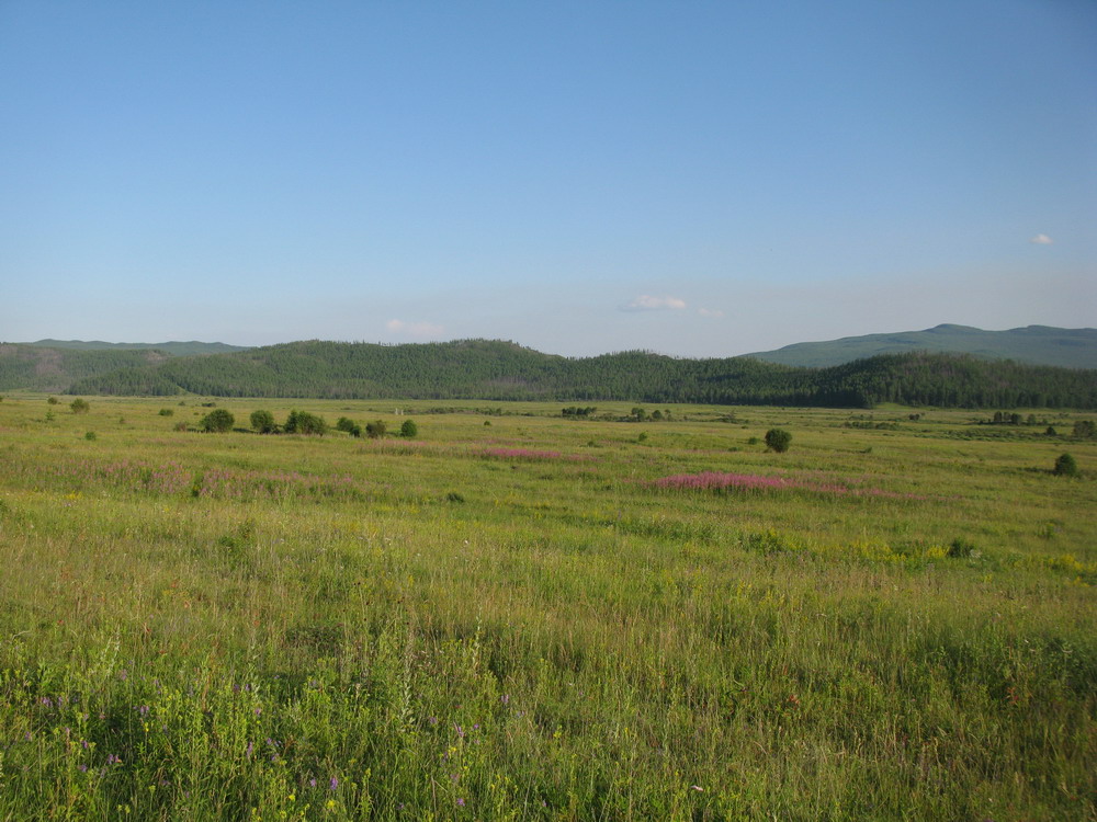 Гагульская котловина, изображение ландшафта.