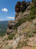 Image of landscape