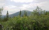 Image of landscape