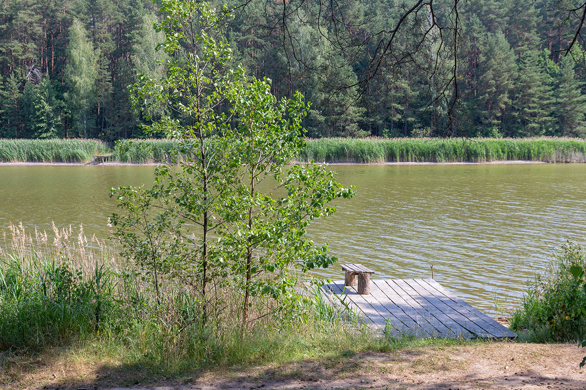 Пруд Сипурка, image of landscape/habitat.