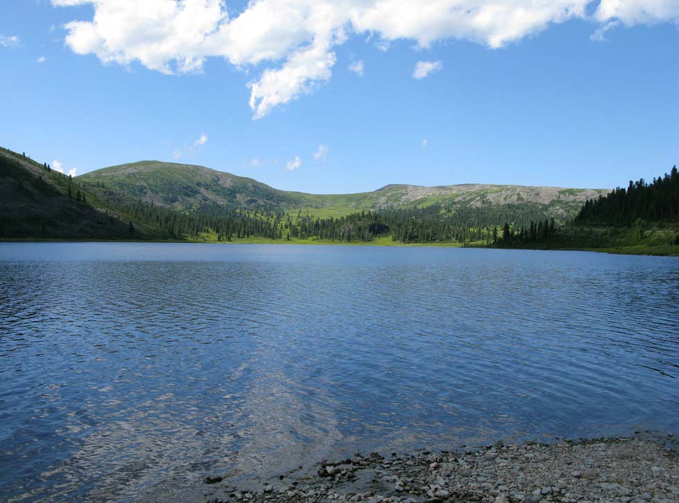 Ойское озеро, image of landscape/habitat.