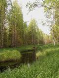 Image of landscape
