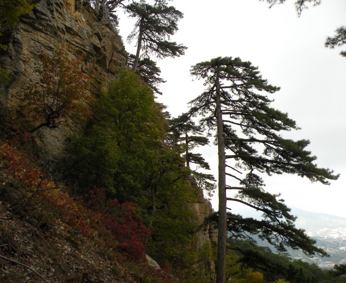 Урочище Таракташ, image of landscape/habitat.