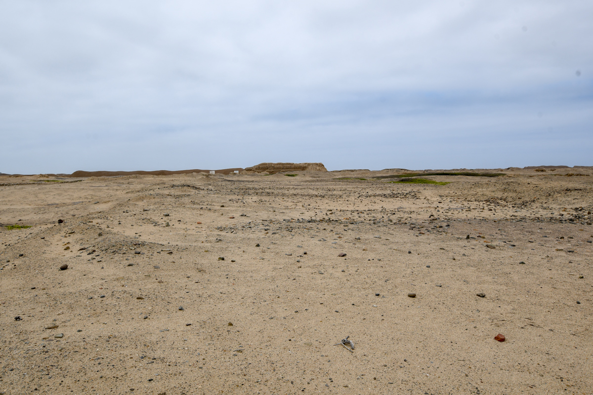 Чан Чан, image of landscape/habitat.
