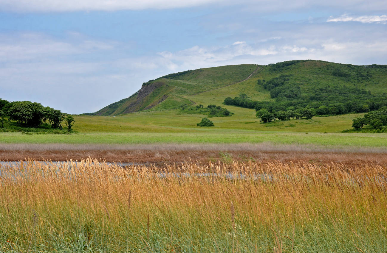 Бухта Круглая, image of landscape/habitat.