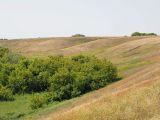 Image of landscape