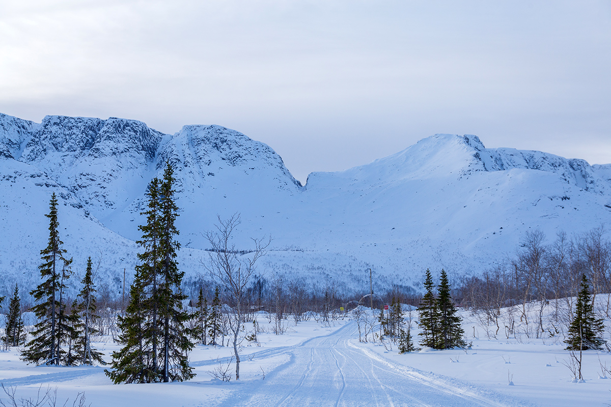 Кукисвумчорр, image of landscape/habitat.