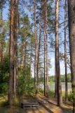 Image of landscape
