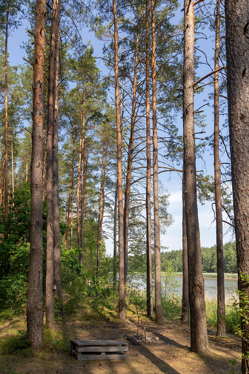 Пруд Сипурка, image of landscape/habitat.