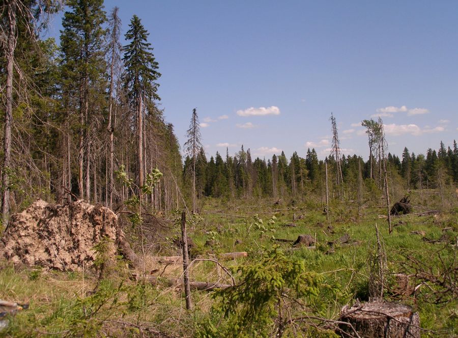 Атлека, image of landscape/habitat.