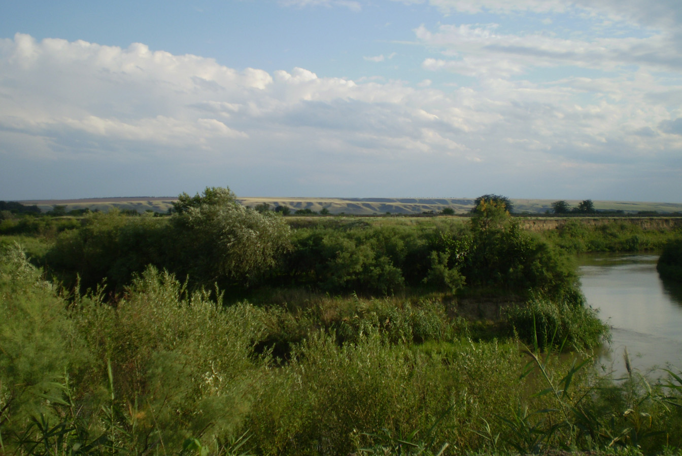 Покойное и его окрестности, image of landscape/habitat.