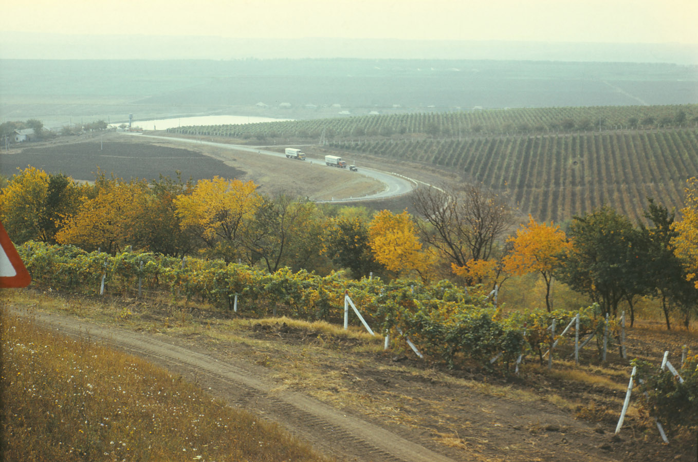 Трасса на Леушены, image of landscape/habitat.