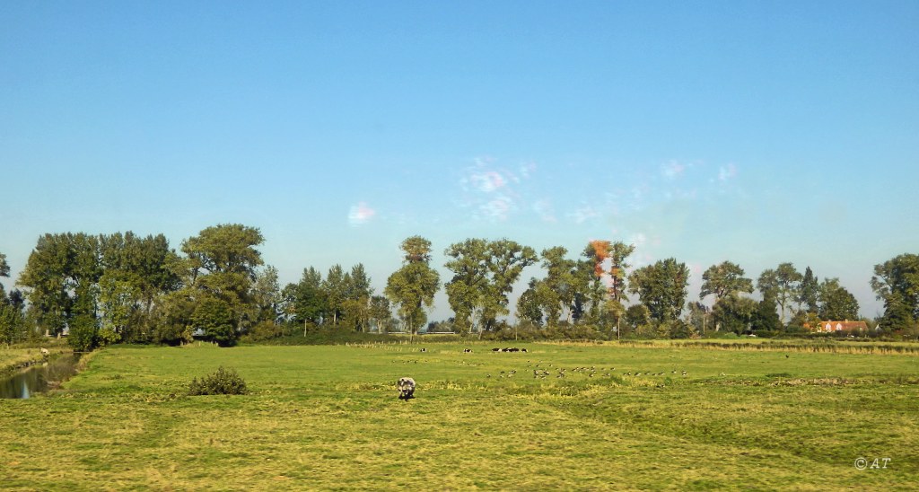 Брюгге, изображение ландшафта.