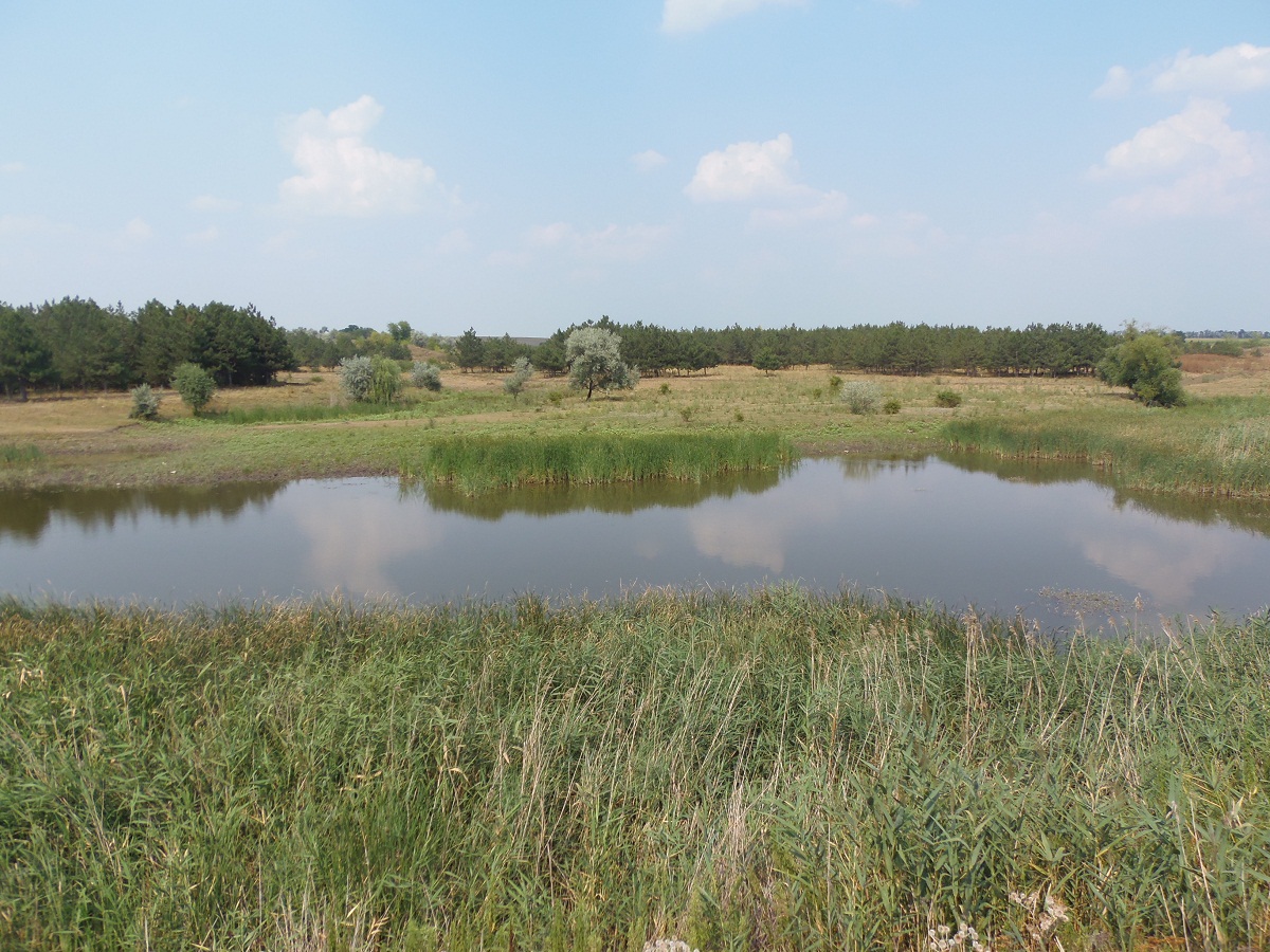 Стульневский гранитный карьер, image of landscape/habitat.