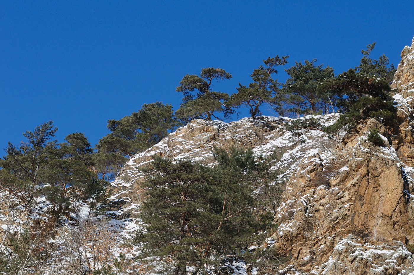 Верхнее течение реки Арсеньевка, image of landscape/habitat.