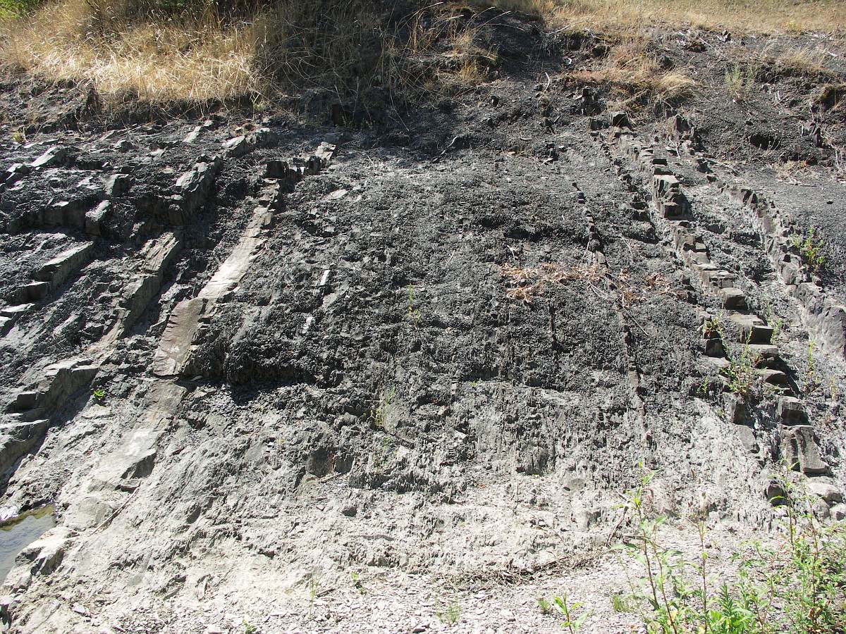 Крымский геологический полигон, image of landscape/habitat.