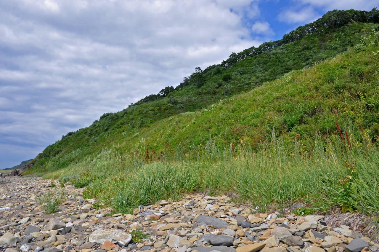 Бухта Круглая, image of landscape/habitat.