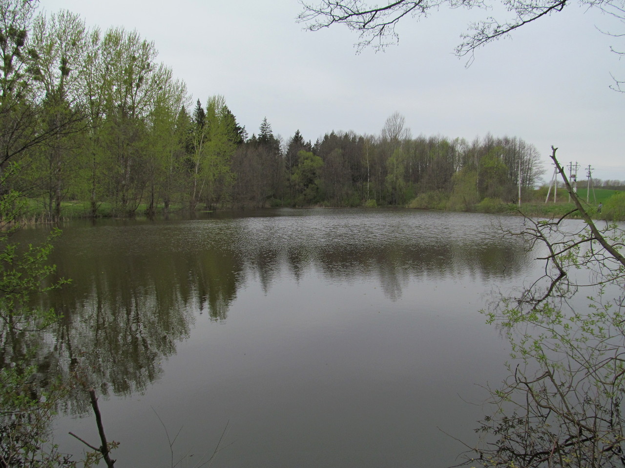 Баратин, image of landscape/habitat.