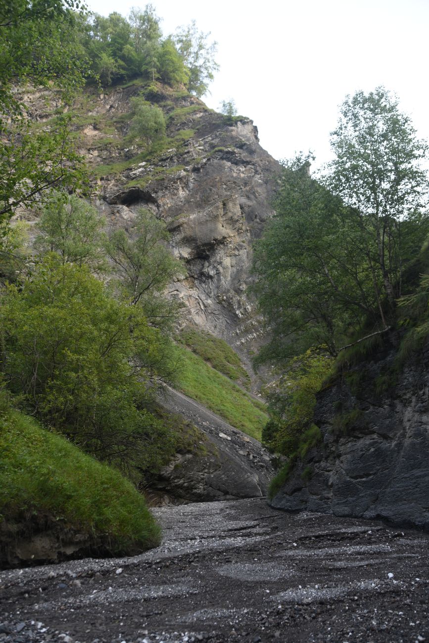Левый приток реки Цесиахк, изображение ландшафта.