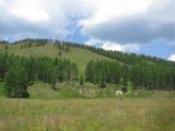 Image of landscape