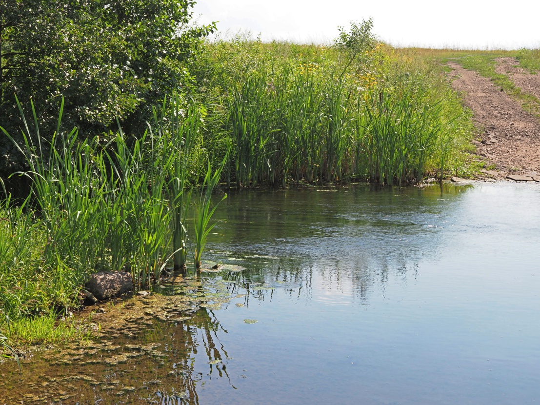 Долина реки Бирля и окрестности, image of landscape/habitat.