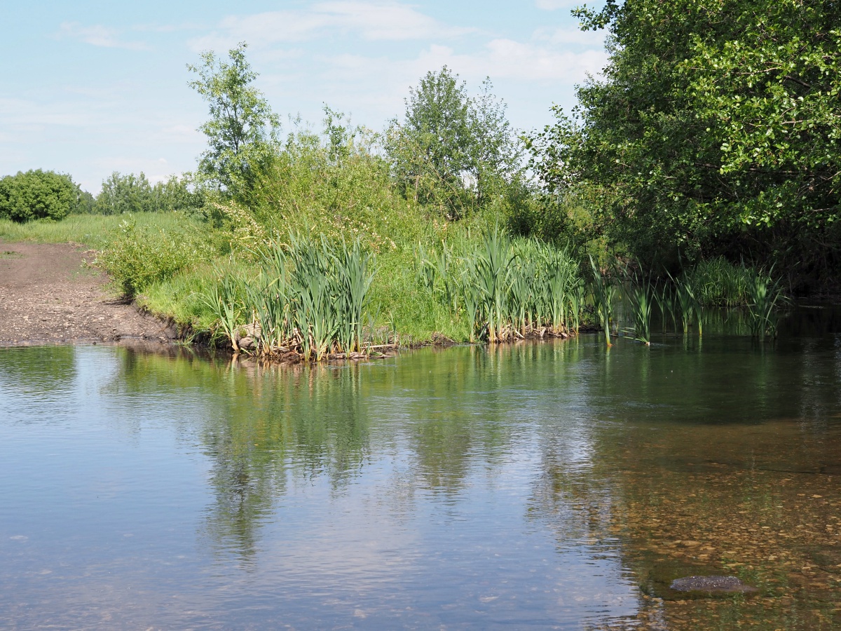 Долина реки Бирля и окрестности, image of landscape/habitat.
