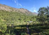 Image of landscape