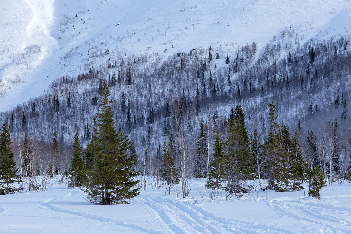 Кукисвумчорр, image of landscape/habitat.