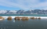 Окрестности Суджукской лагуны, image of landscape/habitat.