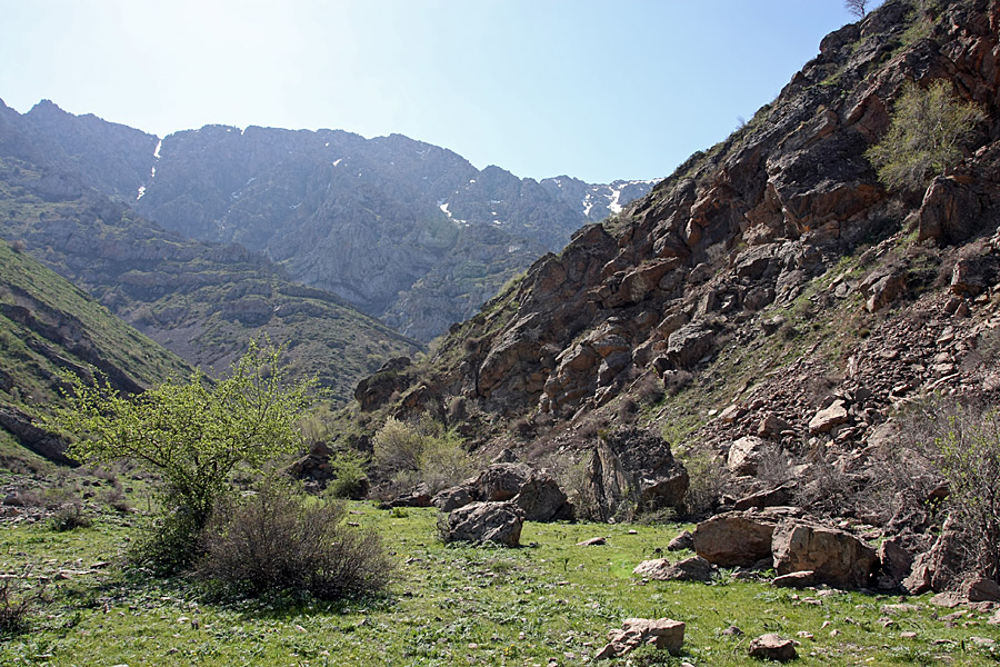 Горы Алатау, image of landscape/habitat.