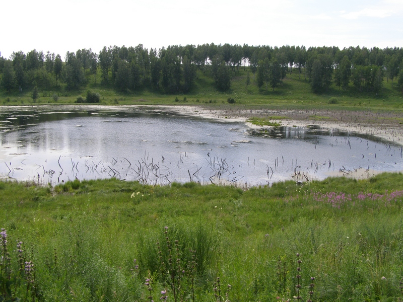 Окрестности г. Бородино, image of landscape/habitat.