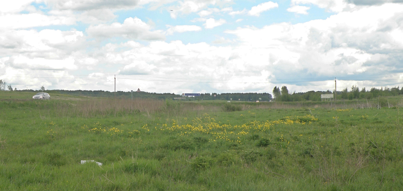 Окрестности с. Большая Брембола, image of landscape/habitat.