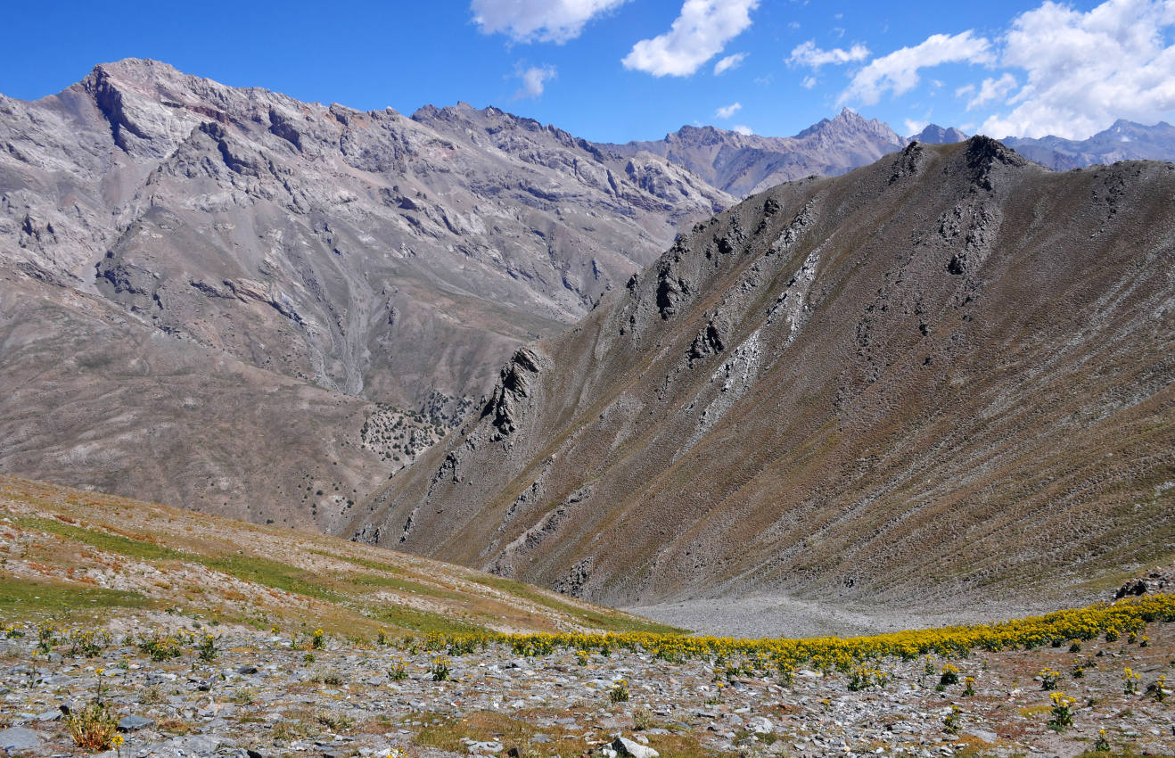 Перевал Лаудан, image of landscape/habitat.