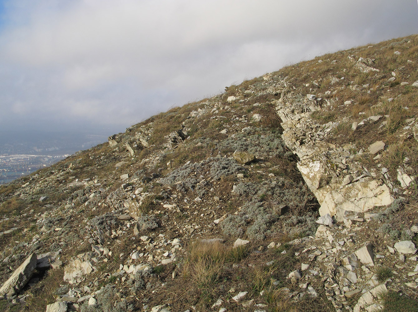 Сахарная Голова, image of landscape/habitat.