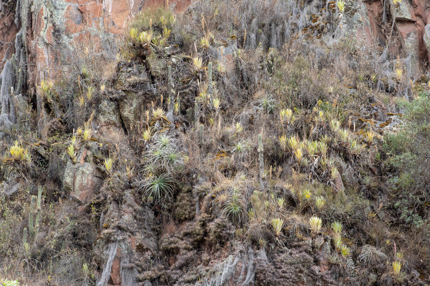 Археологический парк «Писак», image of landscape/habitat.