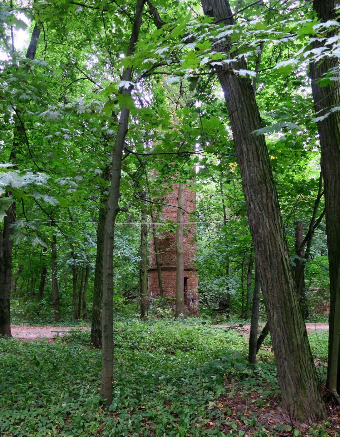 Пехра-Яковлевское, image of landscape/habitat.