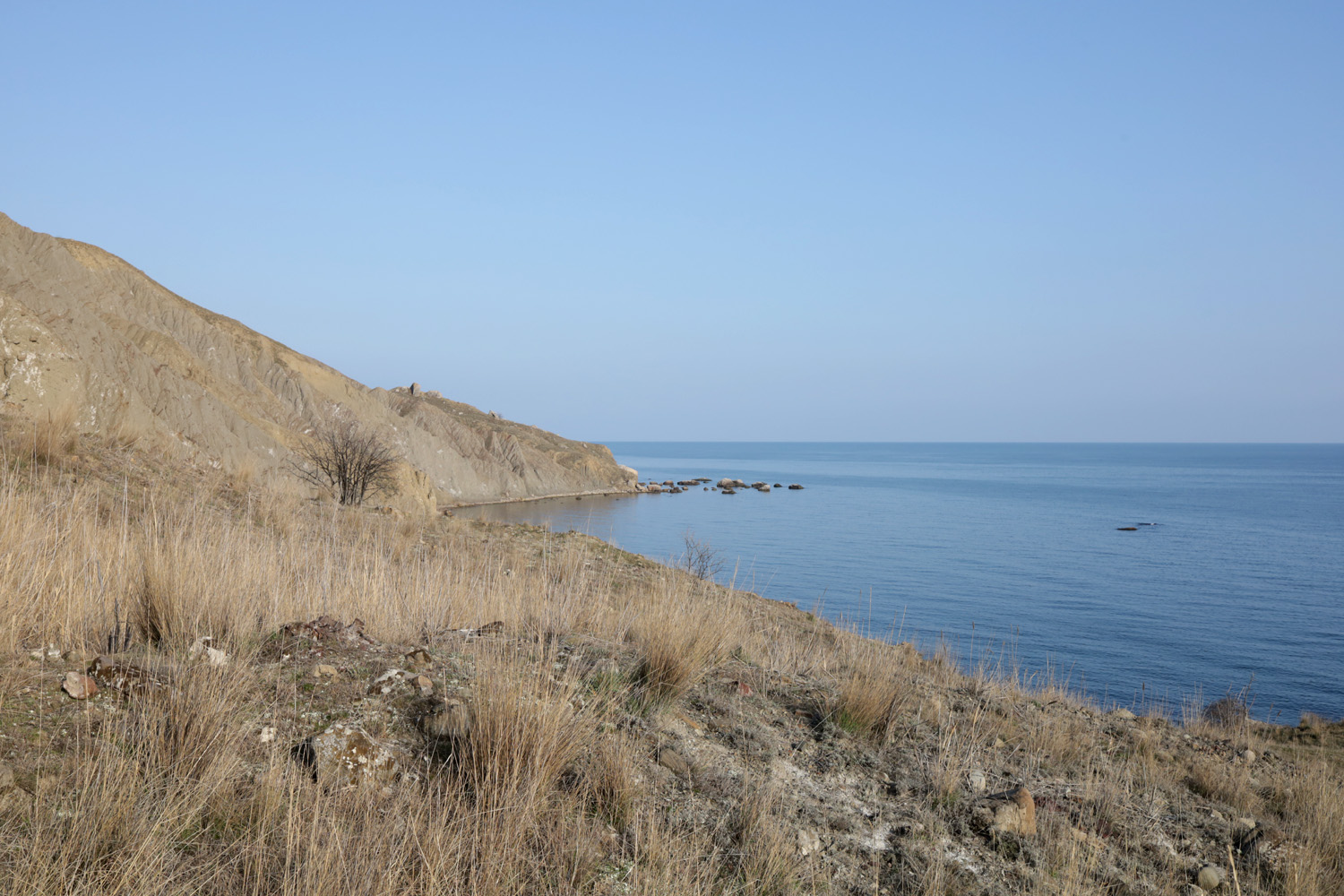 Лисья бухта, image of landscape/habitat.