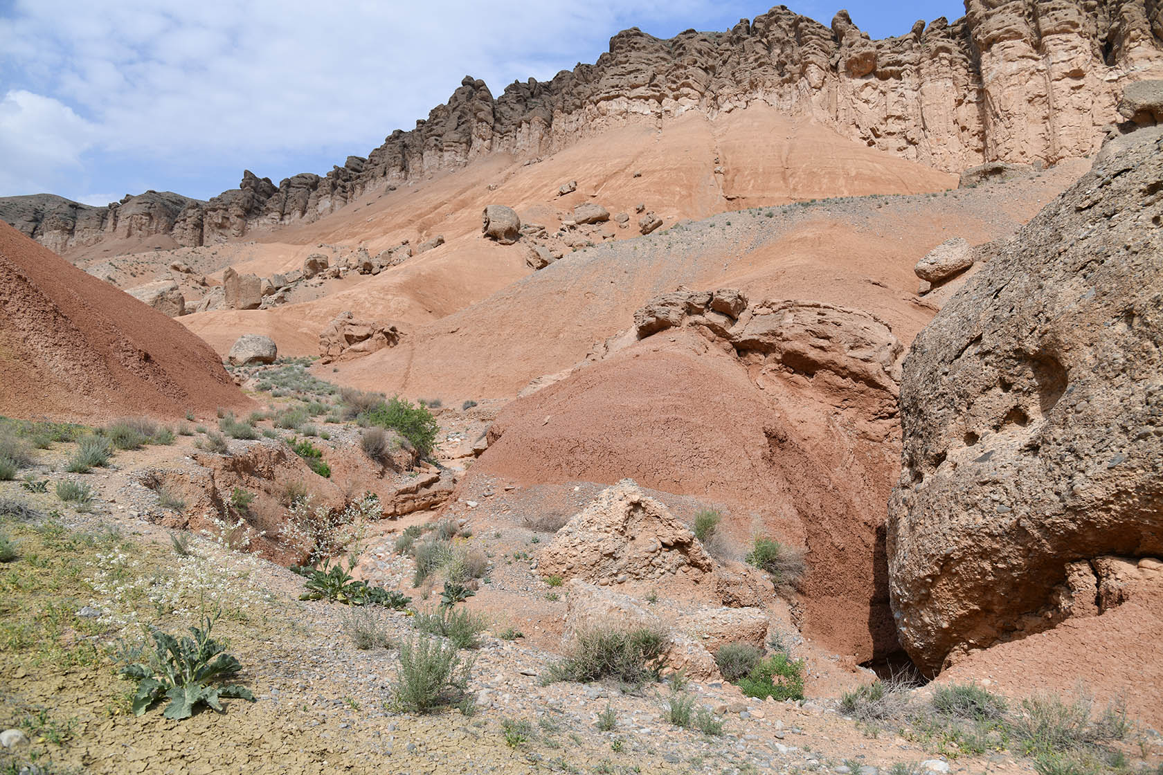 Исфара, image of landscape/habitat.