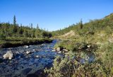 Image of landscape