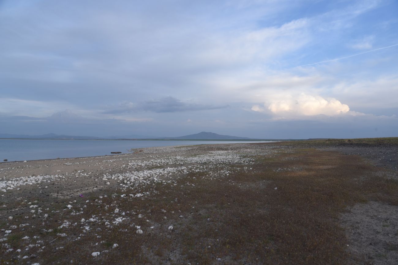 Сусузчукур, image of landscape/habitat.