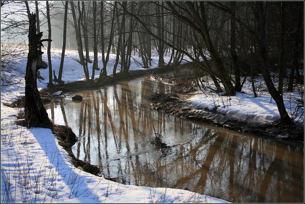 Дубна и окрестности, image of landscape/habitat.