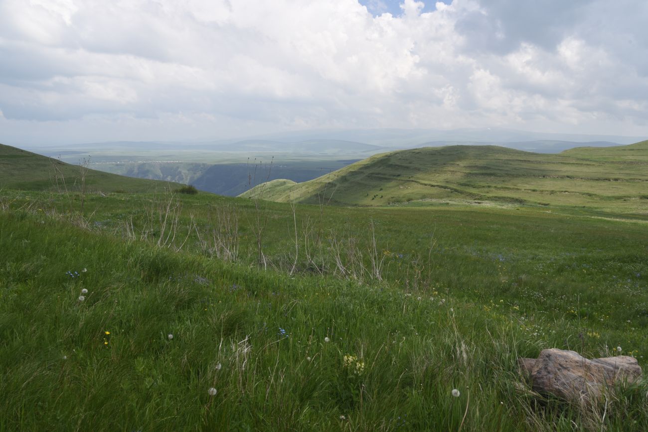 Урочище Агара, изображение ландшафта.