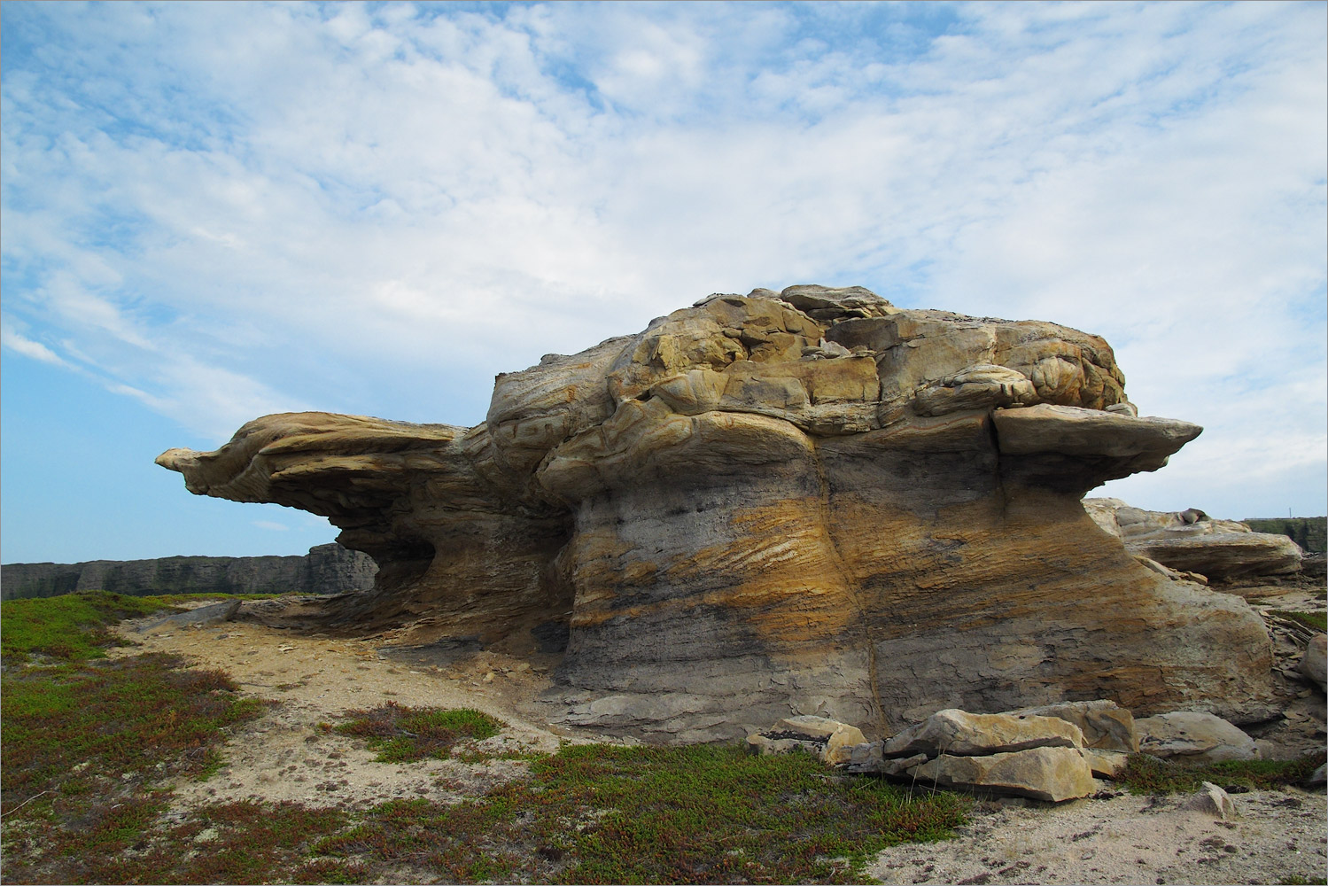 Мыс Земляной, image of landscape/habitat.