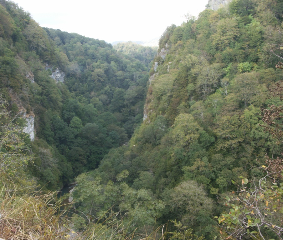 Хоста, изображение ландшафта.