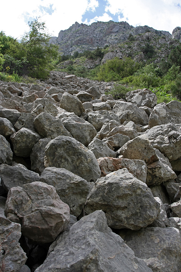 Ущелье Бургулюк, image of landscape/habitat.