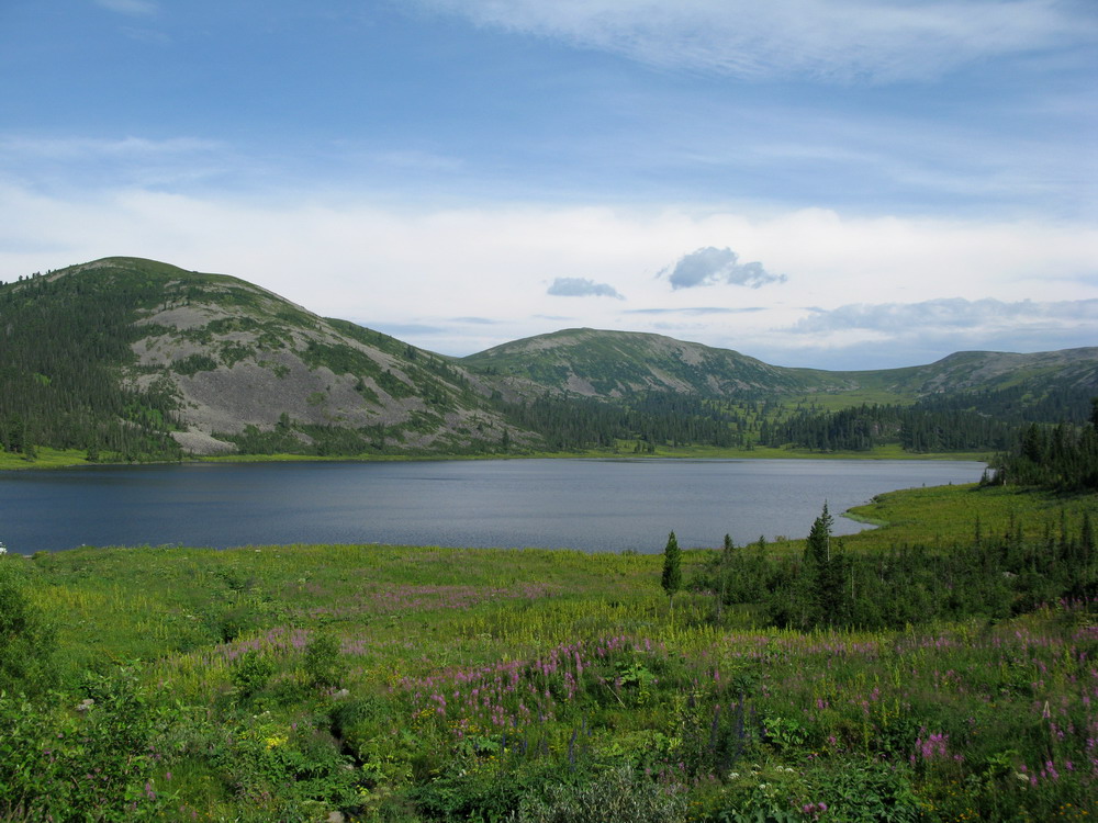 Ойское озеро, image of landscape/habitat.