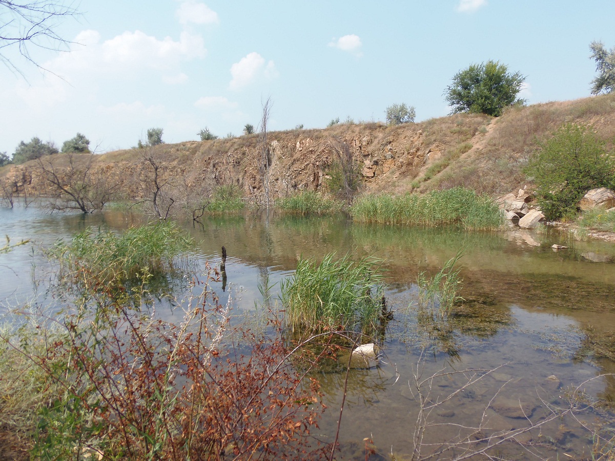 Стульневский гранитный карьер, image of landscape/habitat.